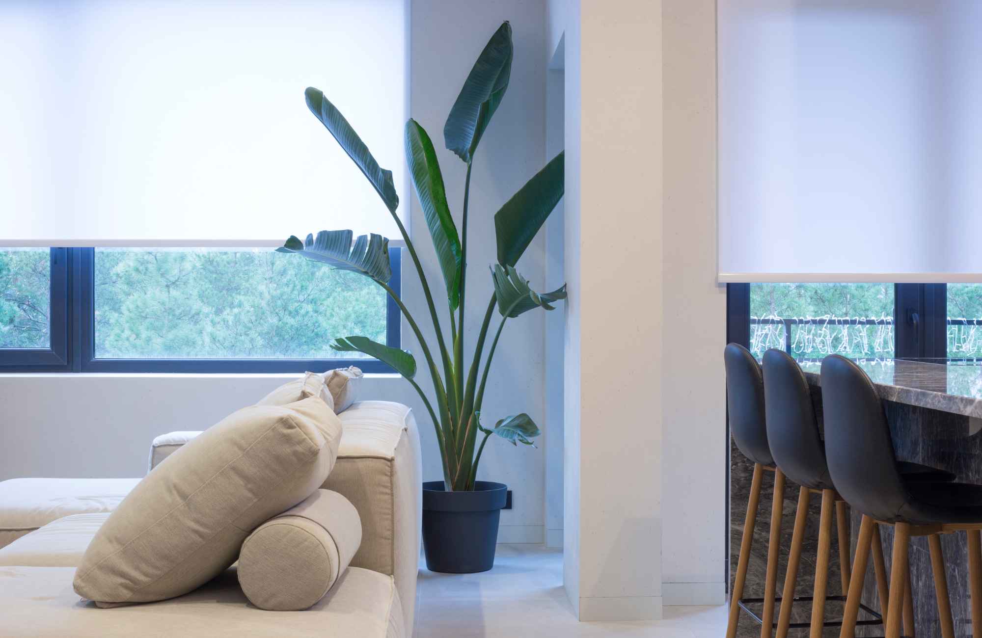 5 Reasons You'll Love Motorized Shades in Your Home
