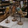 Set of 3 wooden parakeet figurines displayed on a shelf, adding a nature-inspired touch."