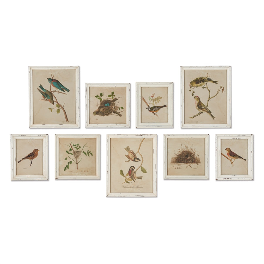 Wall Art Bird and Nest Set of 9 Prints