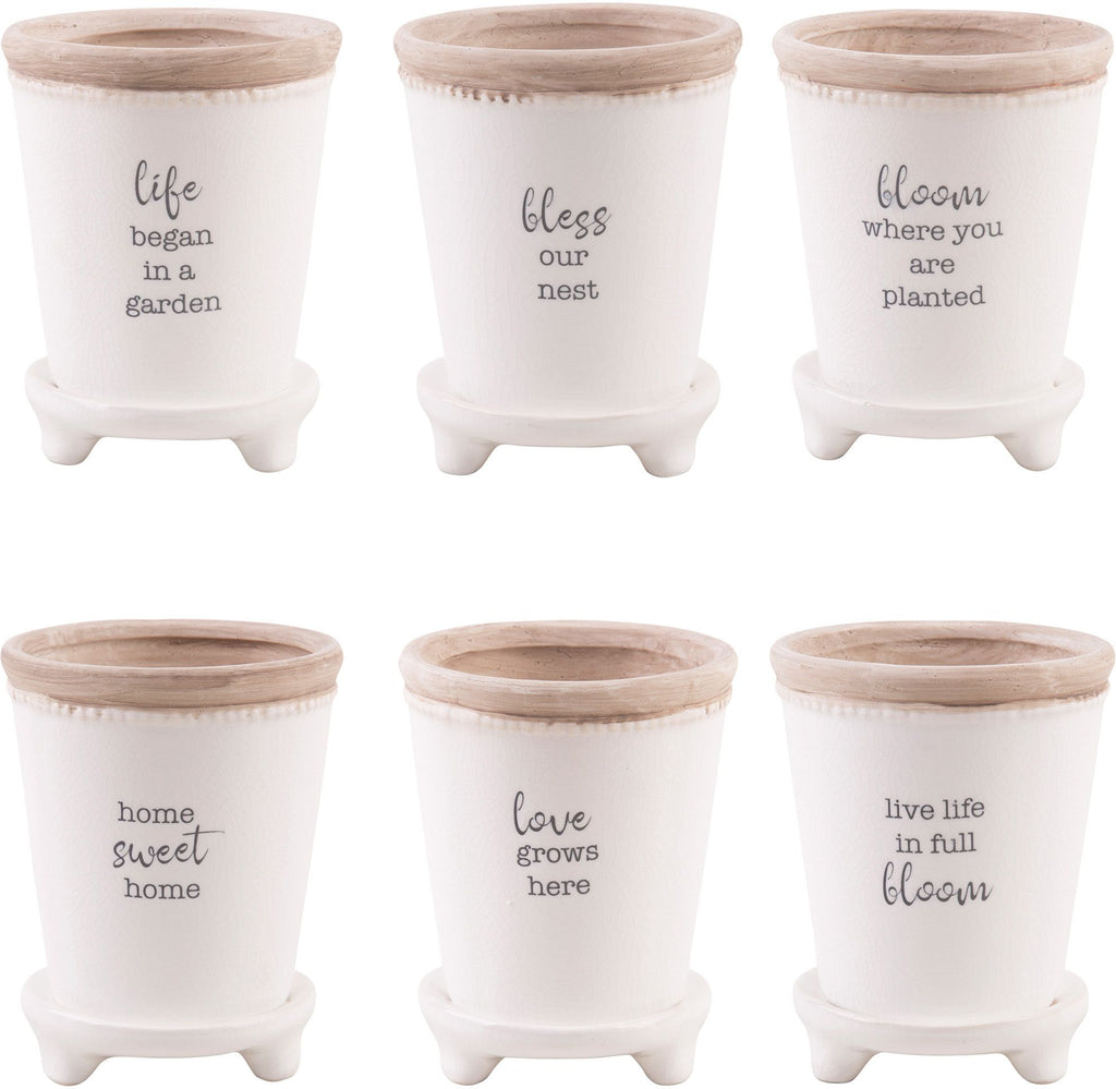 Mini Ceramic Planter– At Home Designs of Delaware