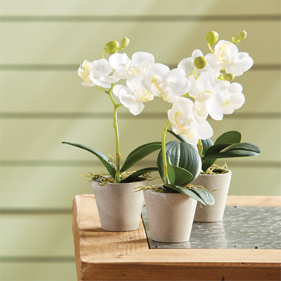 potted mini faux orchid plants, set of 12