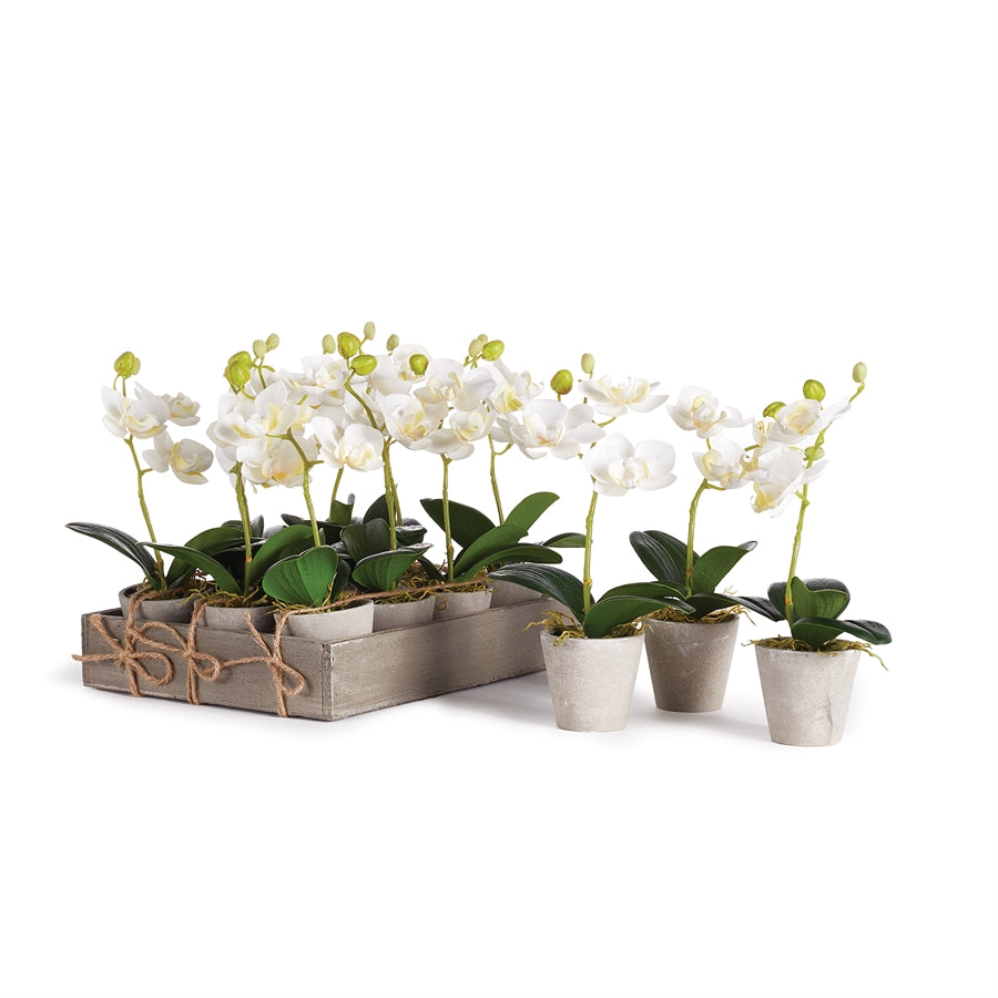 potted mini faux orchid plants, set of 12